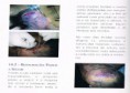 /album/tanatopraxia-e-tanatoestetica/imagem4-jpg/